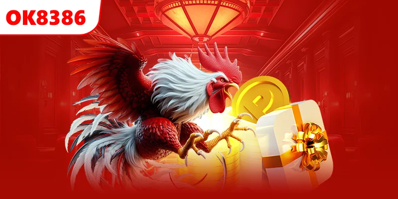 Đá Gà Đòn Là Gì?