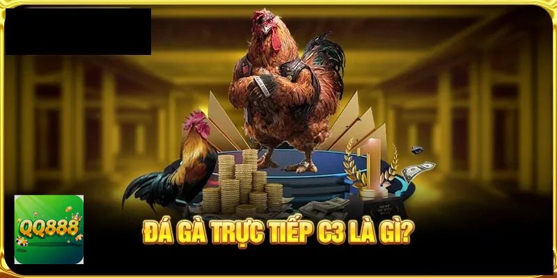 Đá gà đòn - Sức bền và độ gan lì tạo ra khác biệt lớn