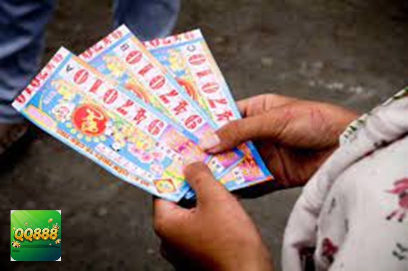 Cách tính tiền bao lô - Những yếu tố ảnh hưởng trực tiếp đến tiền thắng Cách tính tiền bao lô - Những yếu tố ảnh hưởng trực tiếp đến tiền thắng